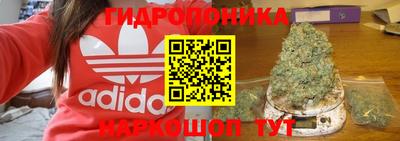 a pvp Усть-Илимск