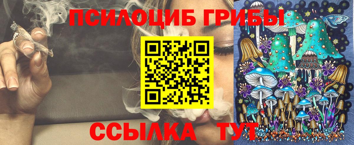 Псилоцибиновые грибы Cubensis Набережные Челны