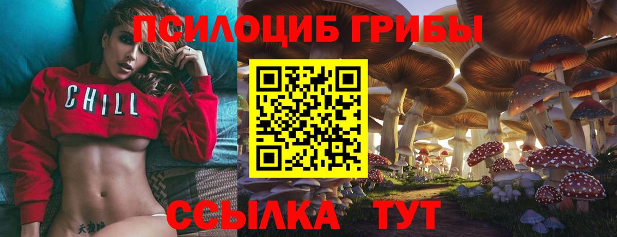 Псилоцибиновые грибы Cubensis  Галлюциногенные грибы GOLDEN TEACHER  Вход с VPN  Набережные Челны 